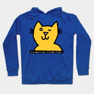 I'm Not a Cat says Meme Cat winking Hoodie